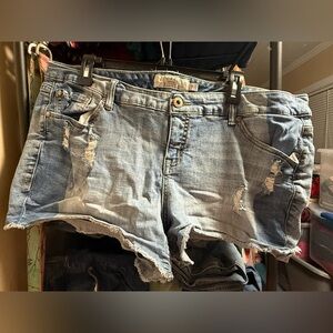 Torrid Blue Distressed Denim Shorts